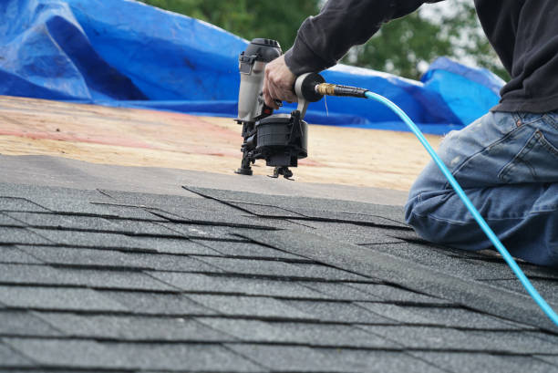 Best Gutter Installation and Roofing  in Johnson City, TN