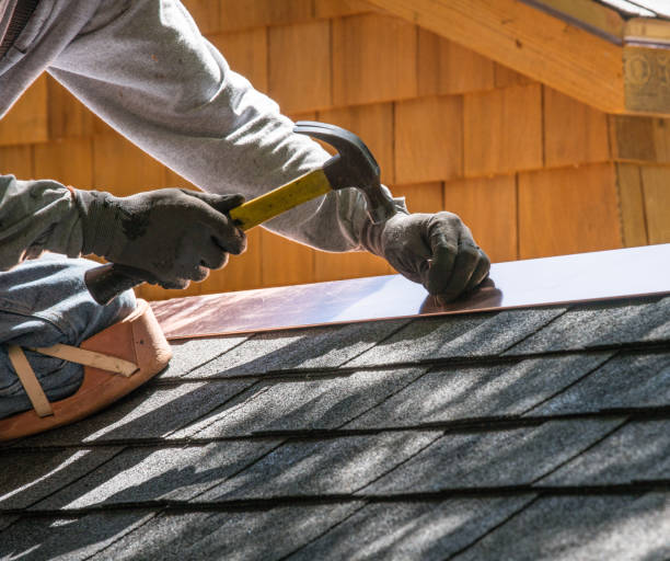 Roof Gutter Cleaning in Johnson City, TN